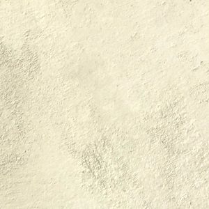 Meet your Posher, Rosa